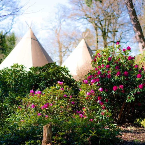 private party tipi hire